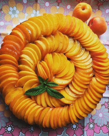 Torta soffice alle albicocche Dolci